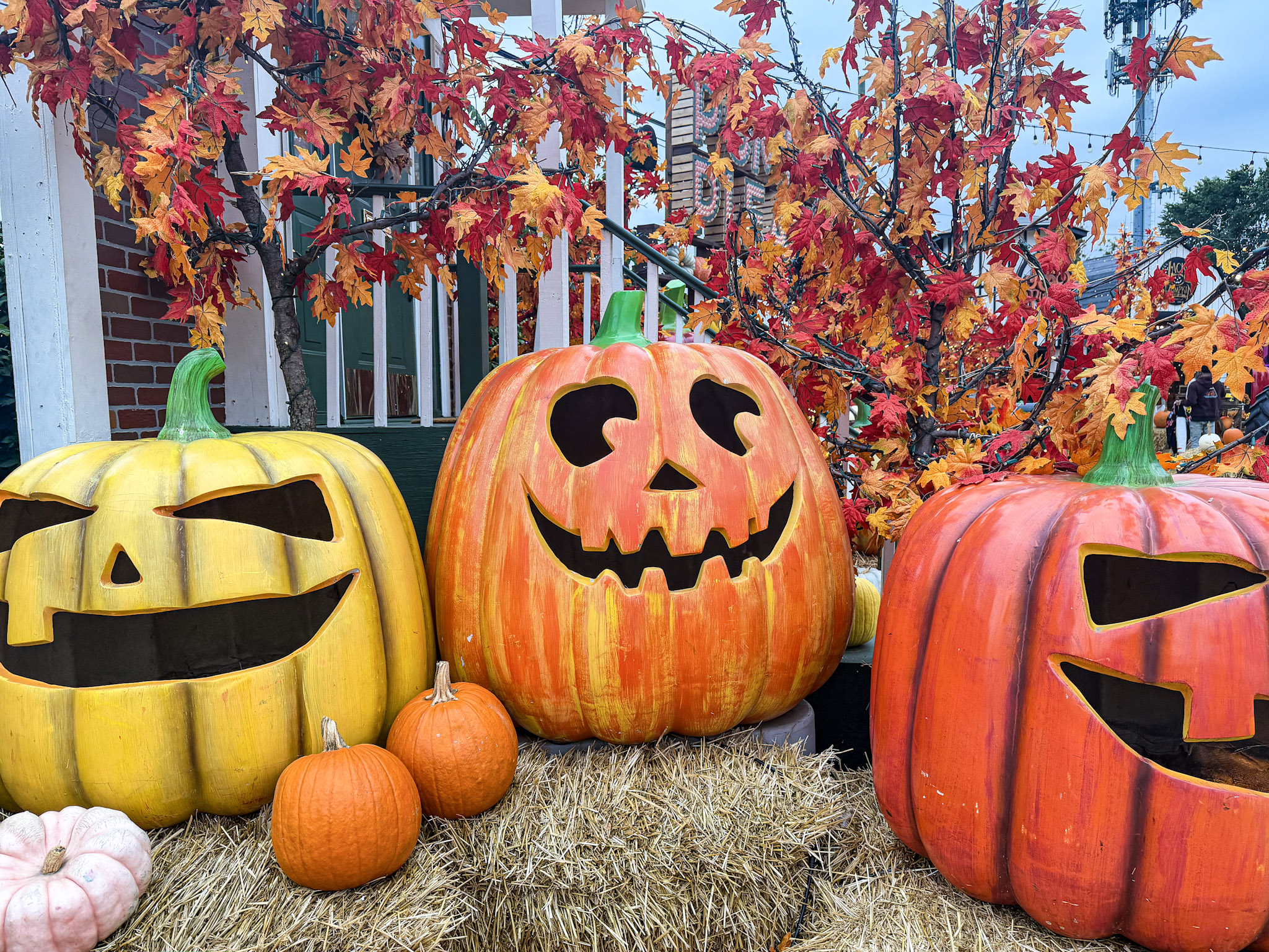 Jack’s Pumpkin Patch photograph 1 by Jonathan Sullivan