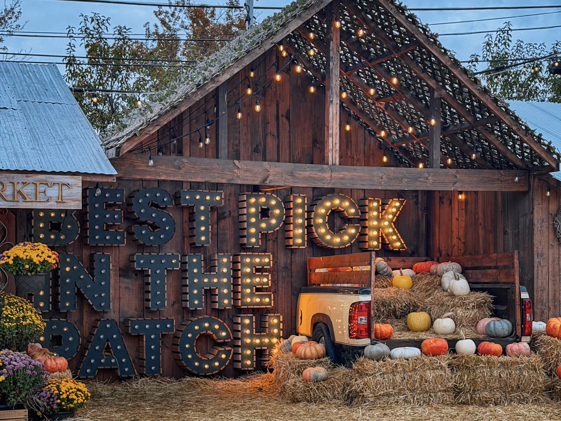 Jack’s Pumpkin Patch photograph 11 by Jonathan Sullivan