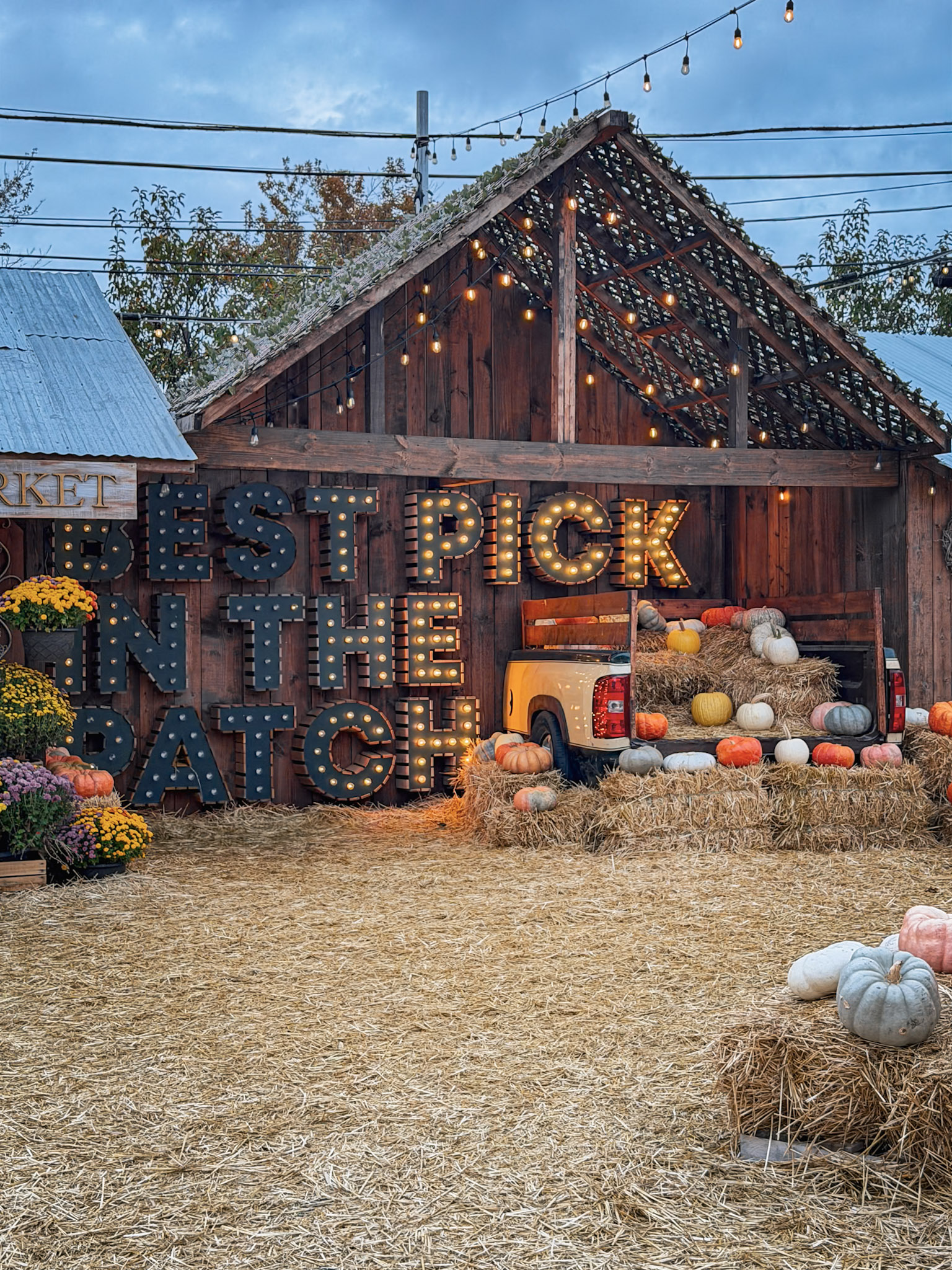Jack’s Pumpkin Patch photograph 12 by Jonathan Sullivan