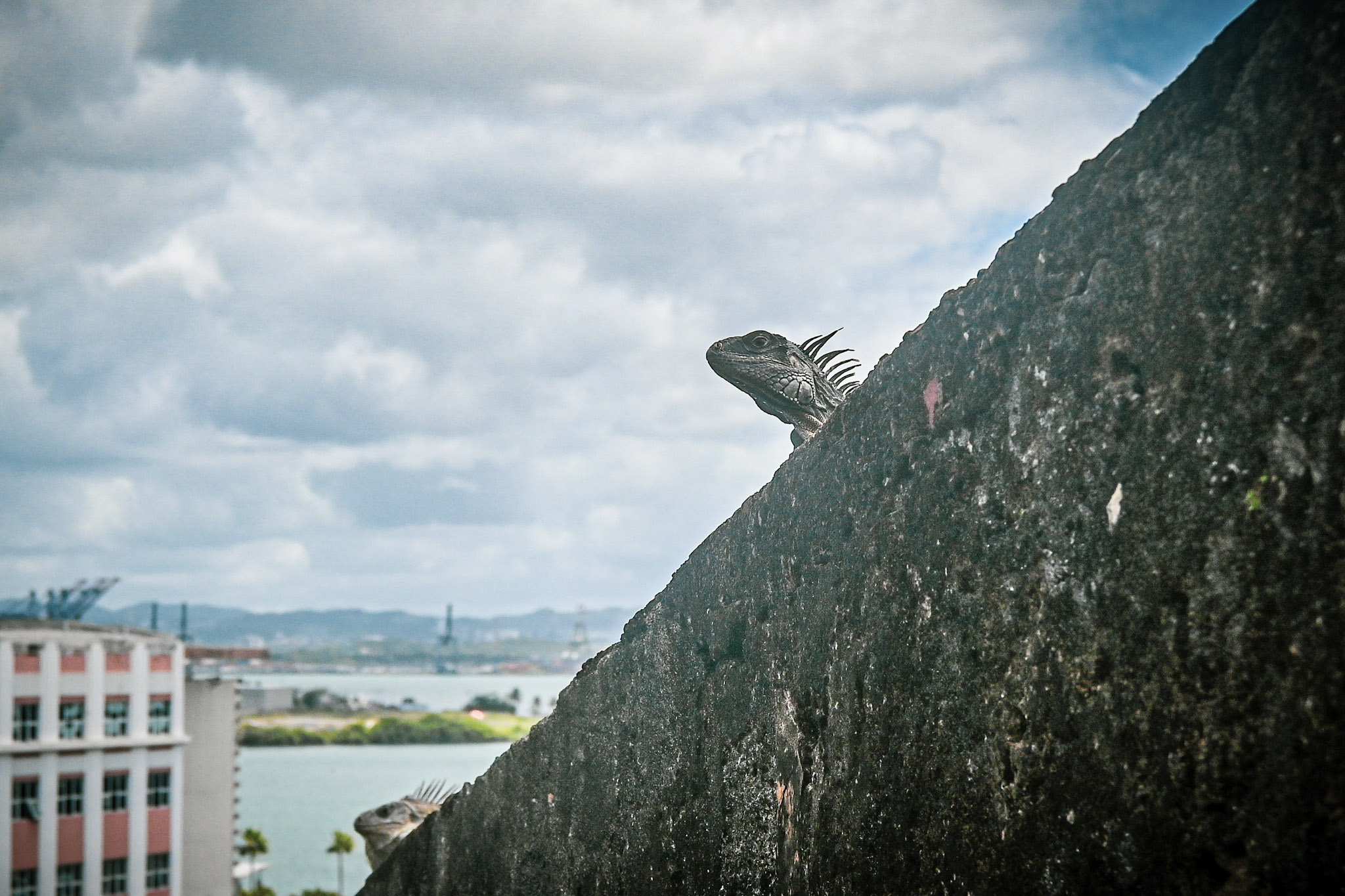 Old San Juan, PR photograph 28 by Jonathan Sullivan
