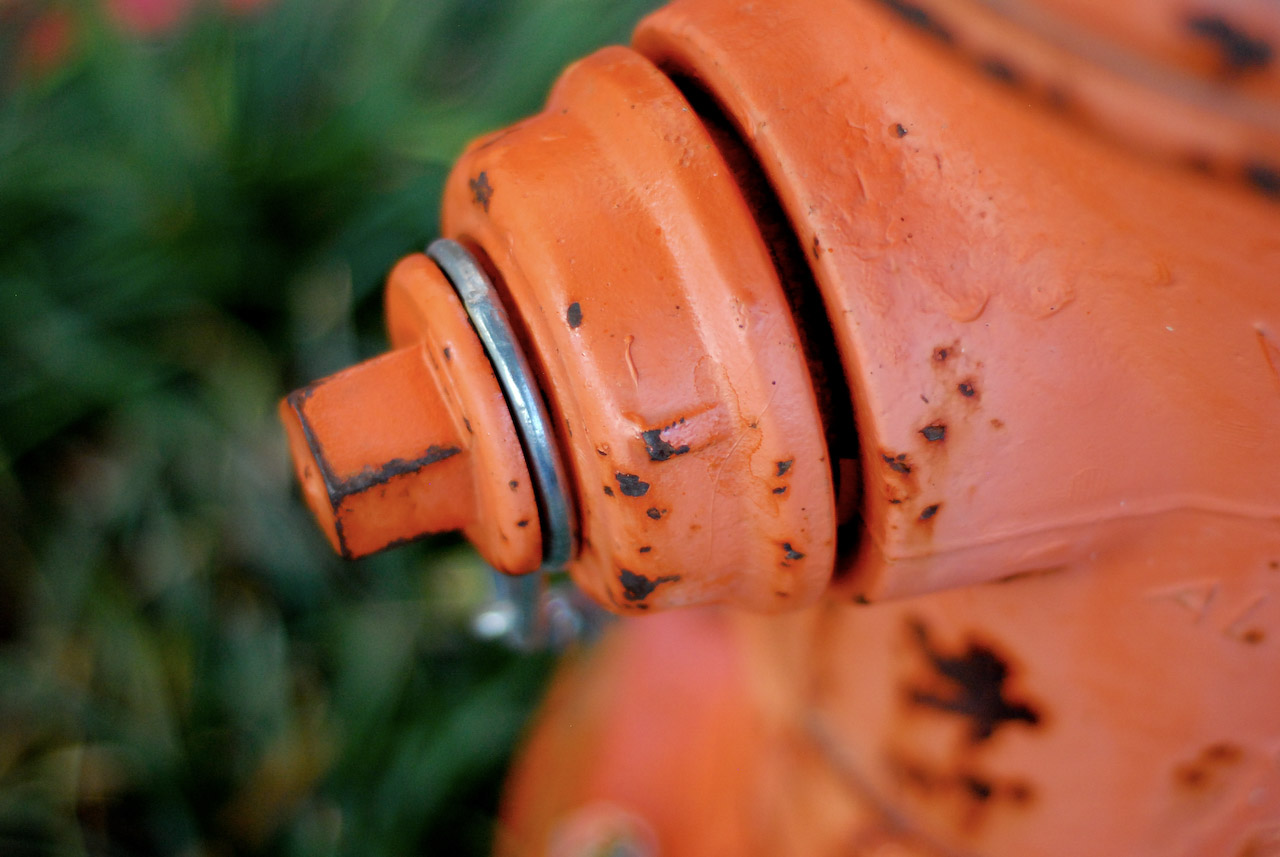 Hydrants photography gallery cover