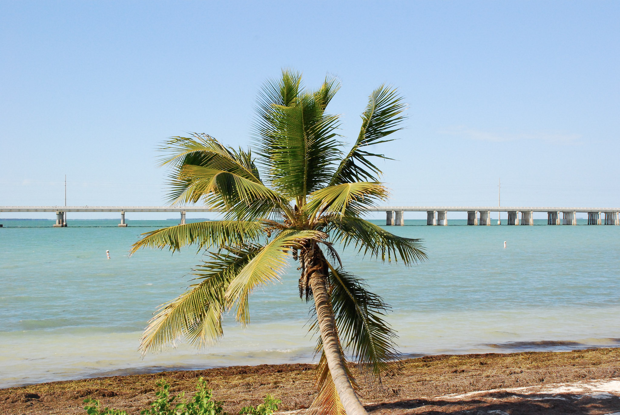 Key West, FL photograph 9 by Jonathan Sullivan