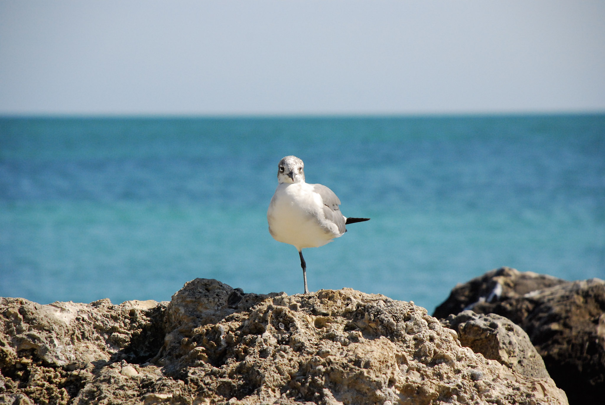 Key West, FL photograph 12 by Jonathan Sullivan