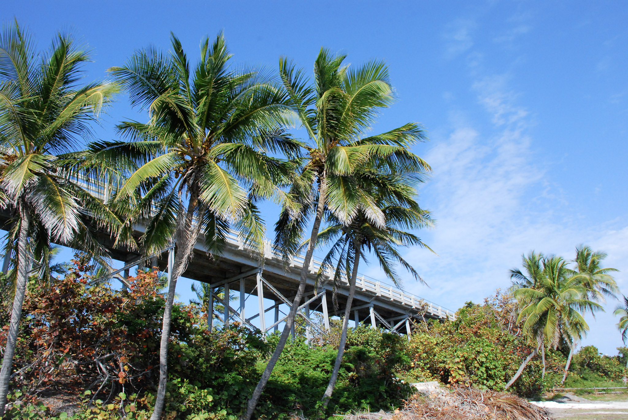Key West, FL photograph 7 by Jonathan Sullivan