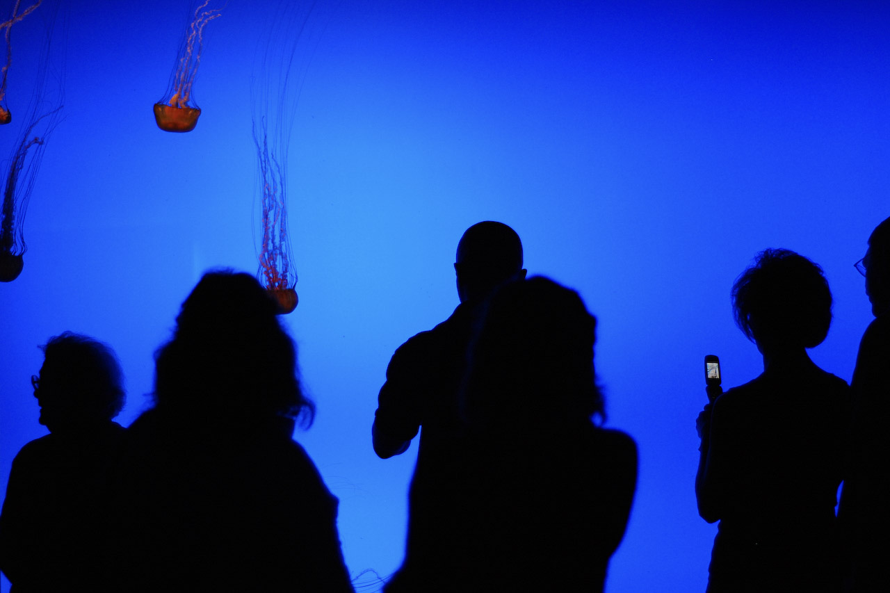 People photograph 6 by Jonathan Sullivan