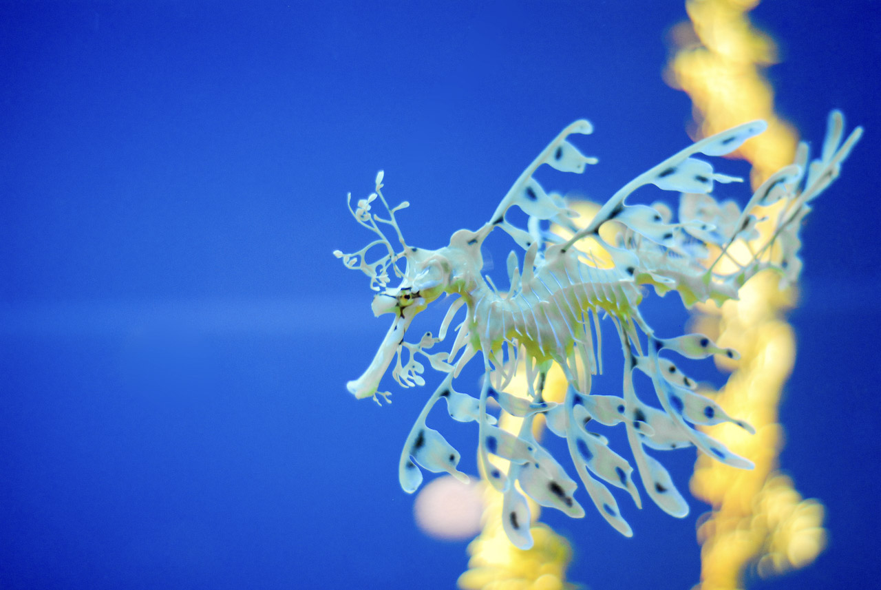 Wildlife photograph 10 by Jonathan Sullivan
