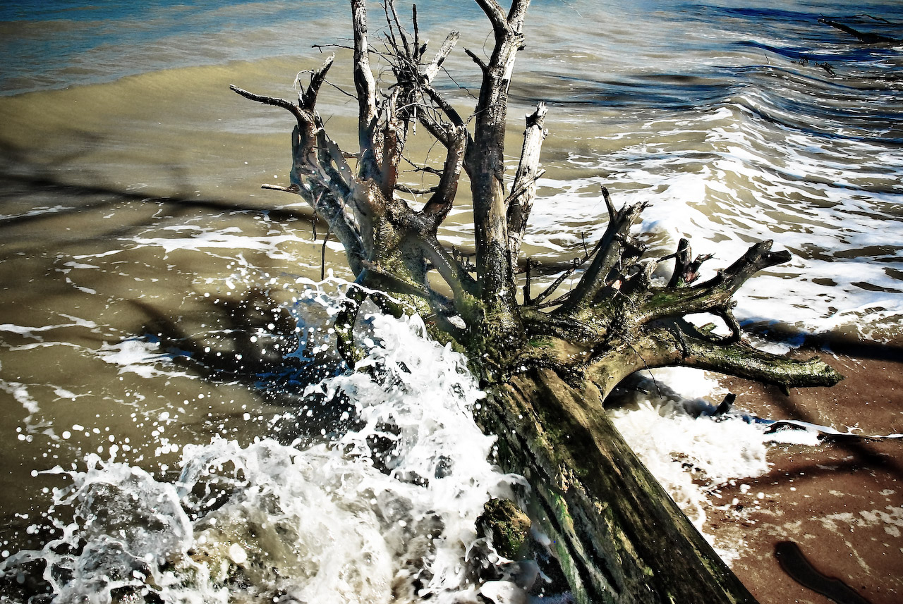 Landscapes photography gallery cover