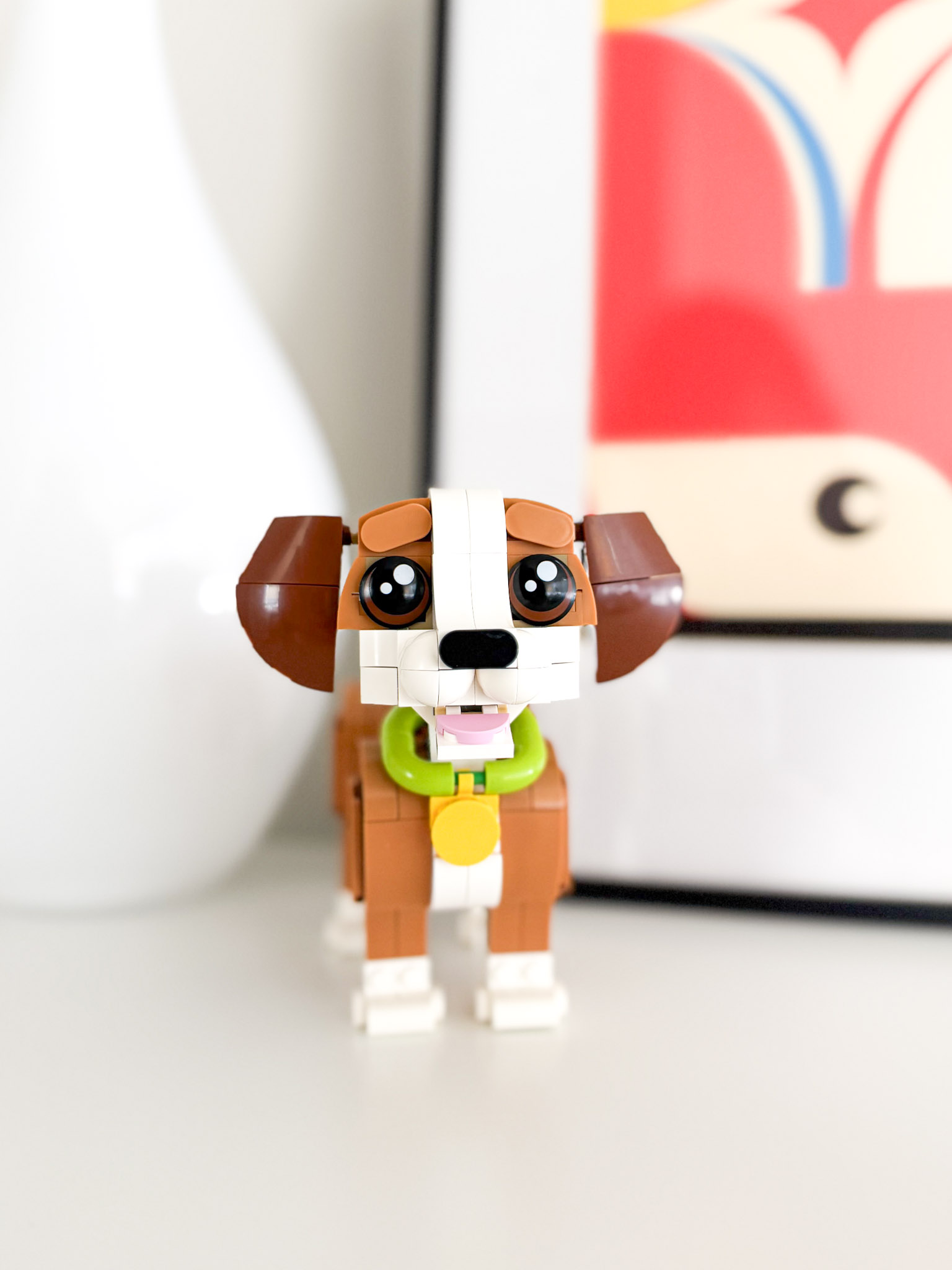 Ollie photography gallery cover